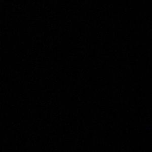 Meet your Posher, Leo